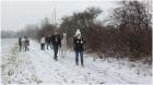 Glühweintour mal anders Lamawanderung in der Adventszeit
